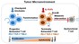 Tumor Microenvironment Figure © LBI/Yugang Guo/2021 EPFL