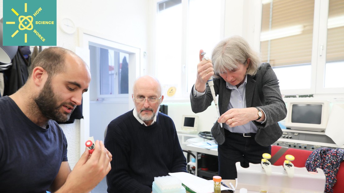 A food DNA sequencing workshop hold by EPFL's Digital Epidemiology Lab in 2019 © Alain Herzog / EPFL