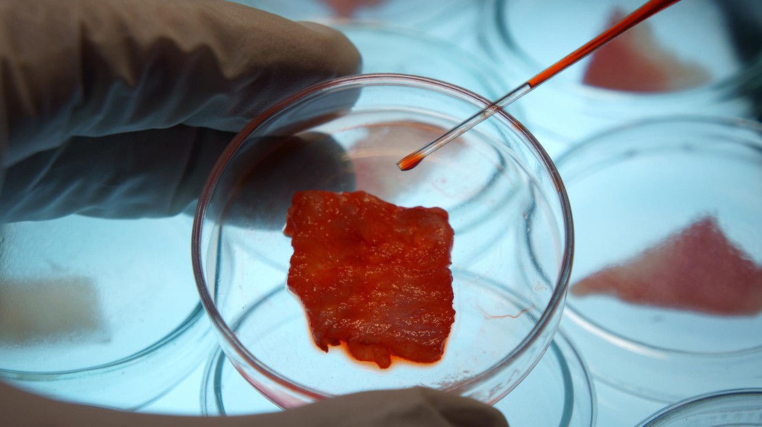 Has cultured meat a lower carbon footprint than conventional? EPFL /iStock