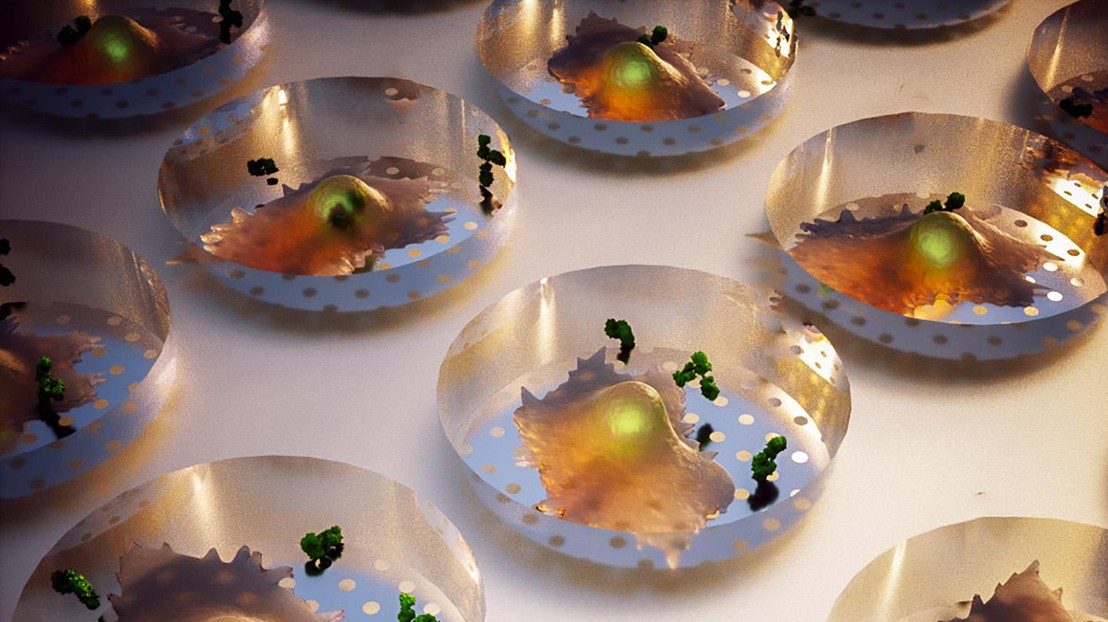 Single-cell microwell array © BIOS EPFL
