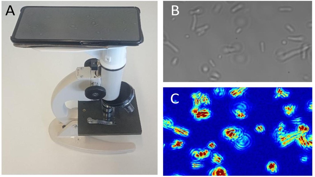 The Optical Nanomotion Detection method in action (see text for caption)) 2023 EPFL / Ines Villalba- CC-BY-SA 4.0
