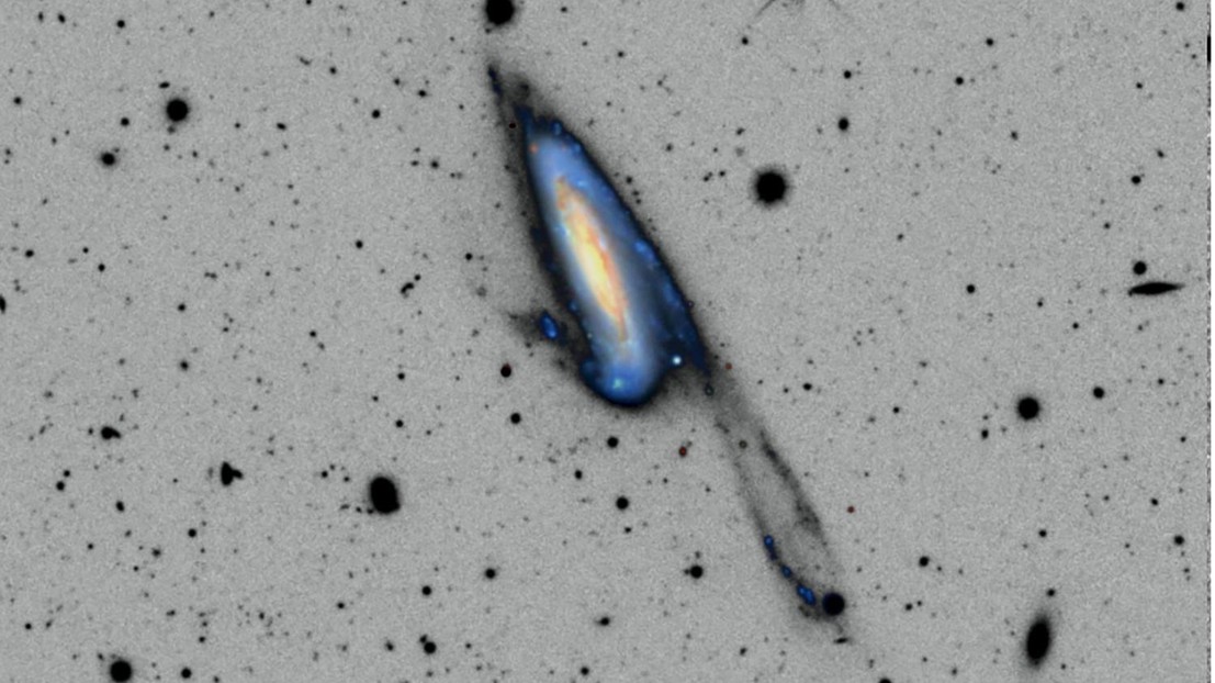 Example of stellar shells and tidal streams in the halo of nearby galaxies from ground-based images. ARRAKIHS will allow imaging 10 times deeper. © 2023 Martinez, Delgado et al.