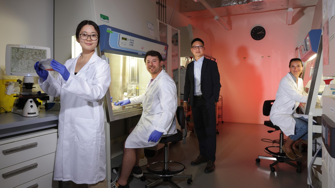 From left to right: Co-authors Weilin Li, Tom Enbar, Li Tang, and Lucia Bonati © Alain Herzog