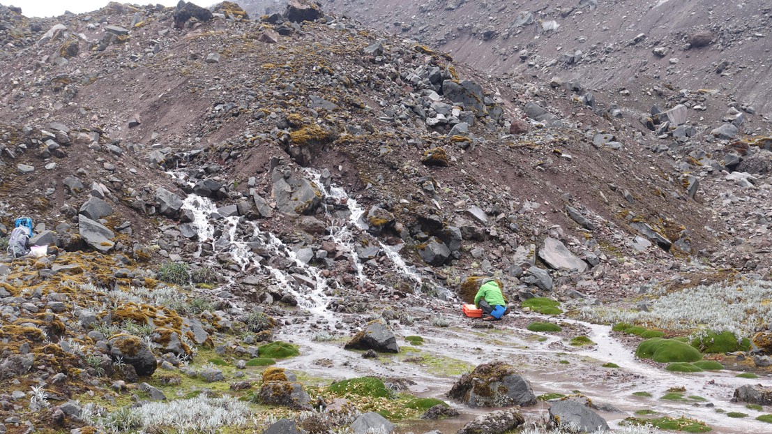 Picture taken in Ecuador, while sampling the river on February, 27, 2020. © NOMIS Field Team