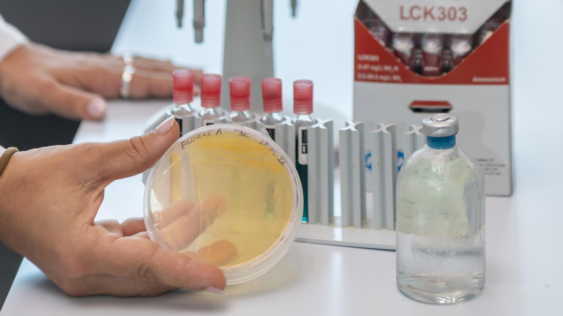 Bacillus megaterium can mineralize carbon dioxide (CO₂) into calcium carbonate (CaCO₃) © SUPSI 2025 - Claudia Cossu Bacillus megaterium can mineralize carbon dioxide (CO₂) into calcium carbonate (CaCO₃) © SUPSI 2025 - Claudia Cossu
