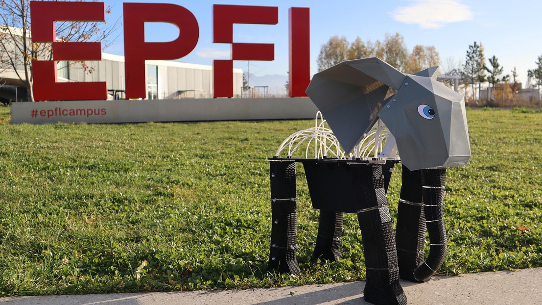 The EleBot. 2025 CREATE EPFL CC BY SA 4.0 The EleBot. 2025 CREATE EPFL CC BY SA 4.0