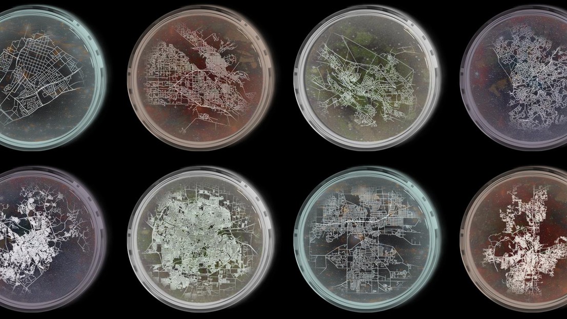 Cities like living organisms, an illustration by Alicia Crespo Montañes, EPFL URBES, 2025