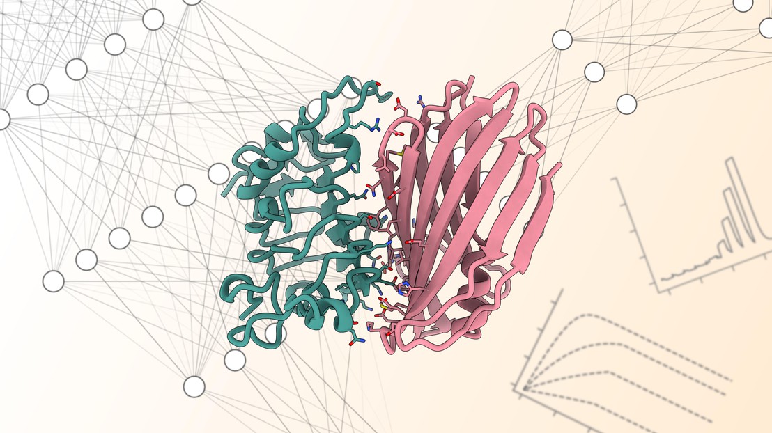 Illustration of a protein binder (pink) interacting with its target protein (green). 2025 LPDI EPFL CC BY SA Illustration of a protein binder (pink) interacting with its target protein (green). 2025 LPDI EPFL CC BY SA