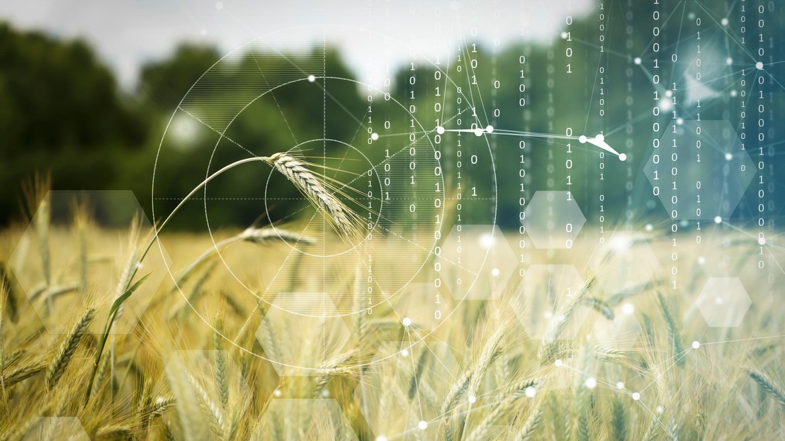 Quantum computing could help solve global problems such as hunger. © iStock