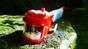 The larval zebrafish robot, Zbot. 2025 EPFL CC BY SA 4.0