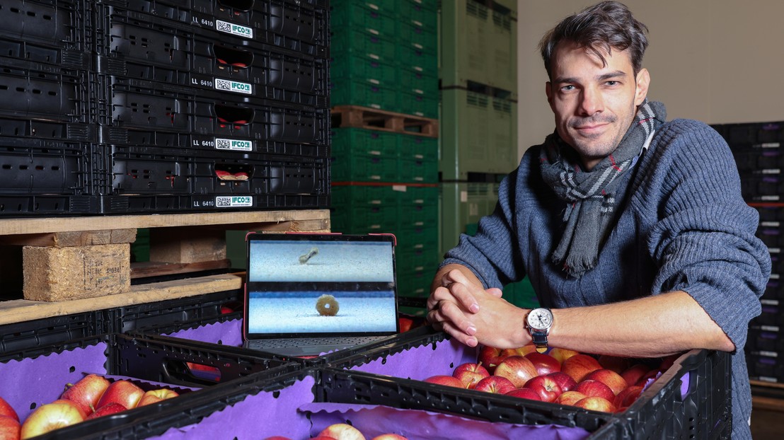 Bertil Trottet, an EPFL physicist who also runs a family tree farm in F&eacute;chy. 2026 EPFL / Alain Herzog - CC-BY-SA 4.0