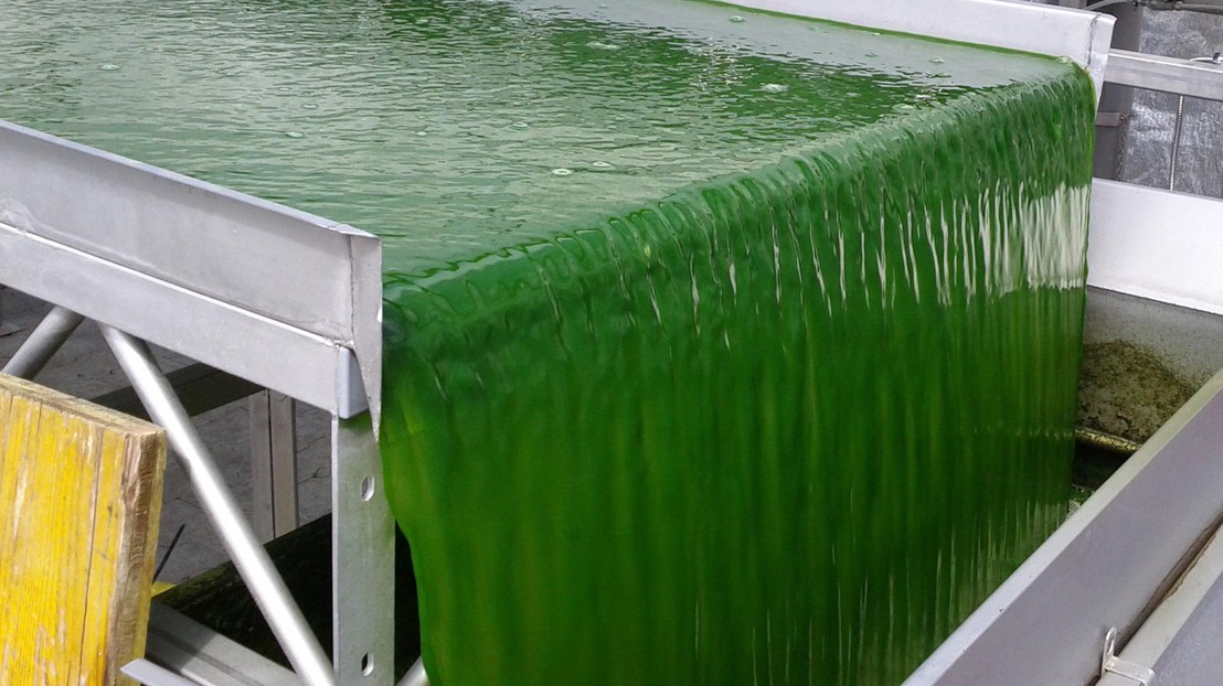 © Applied Science University of Zurich ZHAW – Dominik Refardt, 2013 
