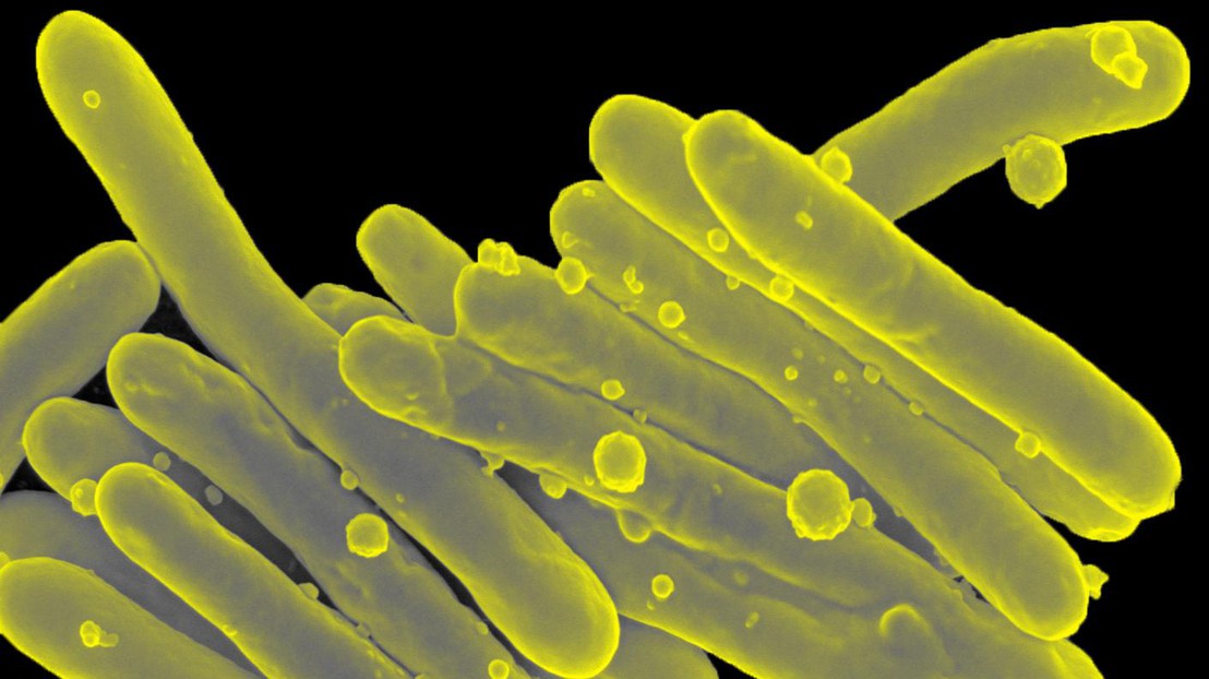 Source: Clifton E. Barry III, Ph.D., NIAID, NIH Source: Clifton E. Barry III, Ph.D., NIAID, NIH