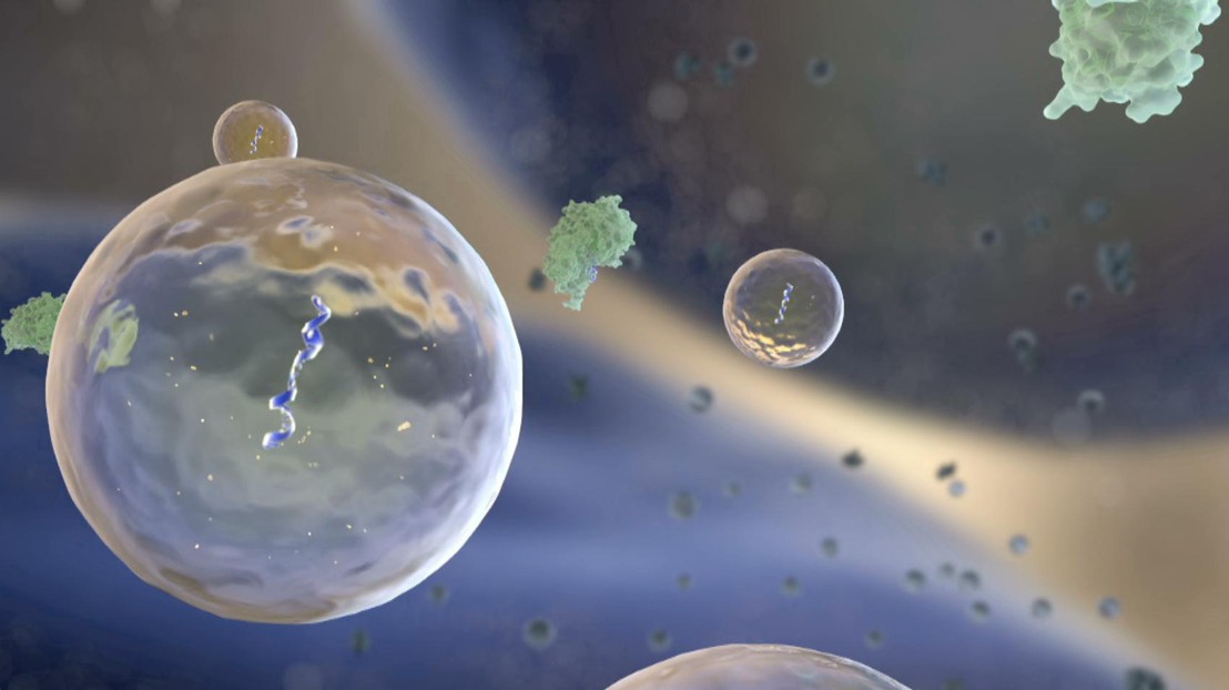 © National Institutes of Health (common fund) © National Institutes of Health (common fund)