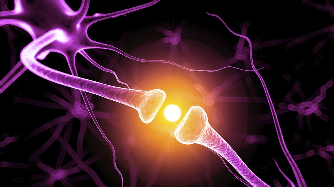 ThinkStock photos ThinkStock photos