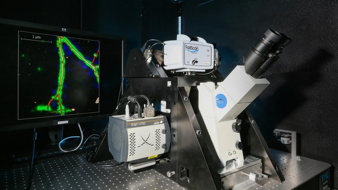© EPFL / Alain Herzog © EPFL / Alain Herzog