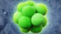 Illustration of an iPSC colony emerging in a 3D gel © Matthias Lutolf (EPFL) 
