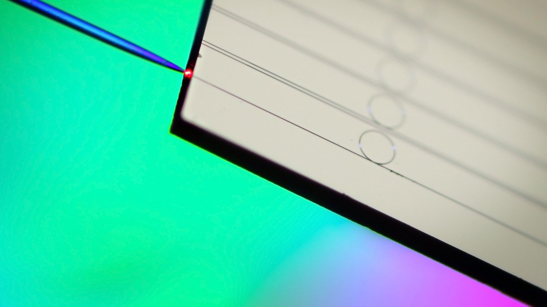Ring-shaped silicon nitride microresonators on a chip coupled with an optical fiber © Victor Brasch/Erwan Lucas (EPFL) Ring-shaped silicon nitride microresonators on a chip coupled with an optical fiber © Victor Brasch/Erwan Lucas (EPFL)