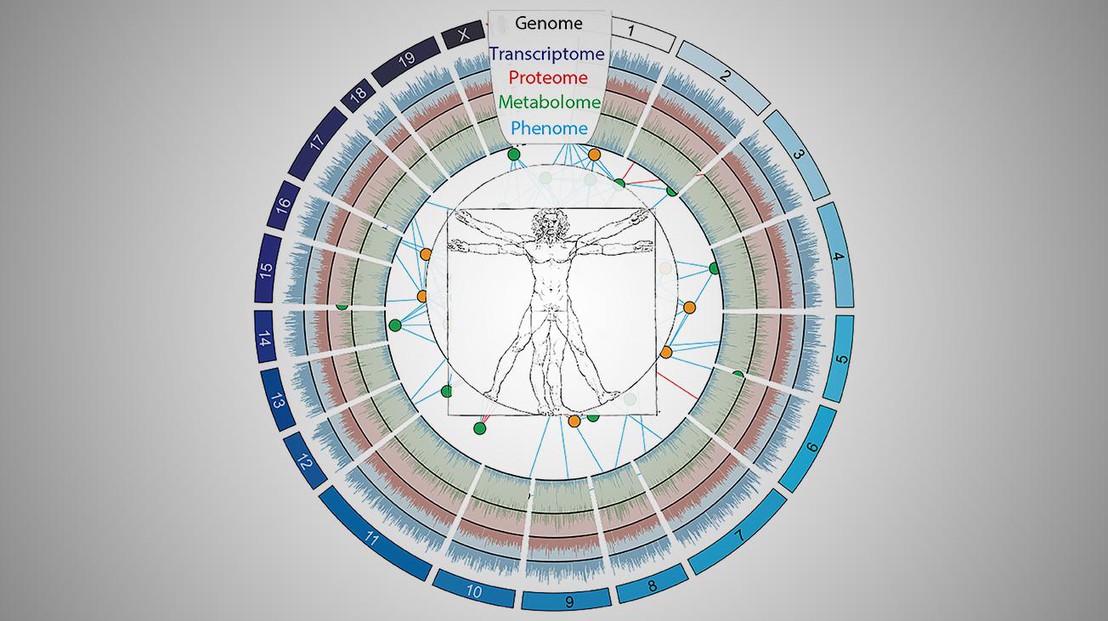 The biological "layers" of our body © J. Auwerx/P. Jha/EPFL