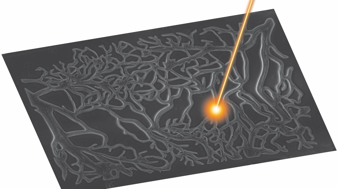 Fabrication of microfluidic networks in biocompatible gels using pulsed lasers © M. Lütolf/EPFL Fabrication of microfluidic networks in biocompatible gels using pulsed lasers © M. Lütolf/EPFL