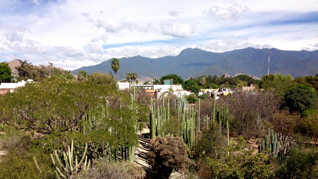 © G. Tejada - Landscape in Oaxaca, Mexico © G. Tejada - Landscape in Oaxaca, Mexico