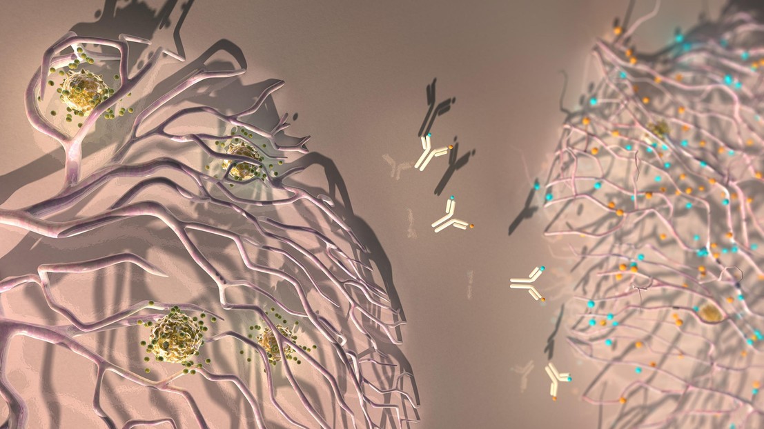 An antibody against ANGPT2 and VEGFA reprograms the tumor blood vessels to facilitate the extravasation of anti-tumoral T cells. Credit: Ella Maru Studio
