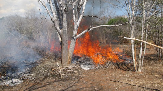 Deforestation caused by burning land for agricultural use. © JGD