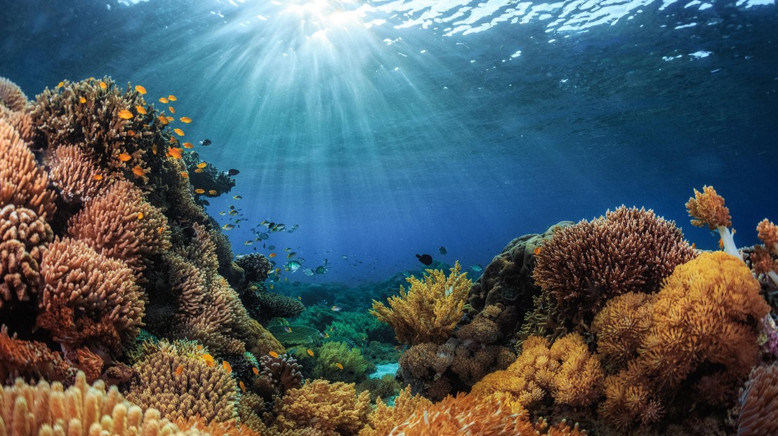 Anders Meibom: “If we are right, our study challenges decades of paleoclimate research.” © iStock photos