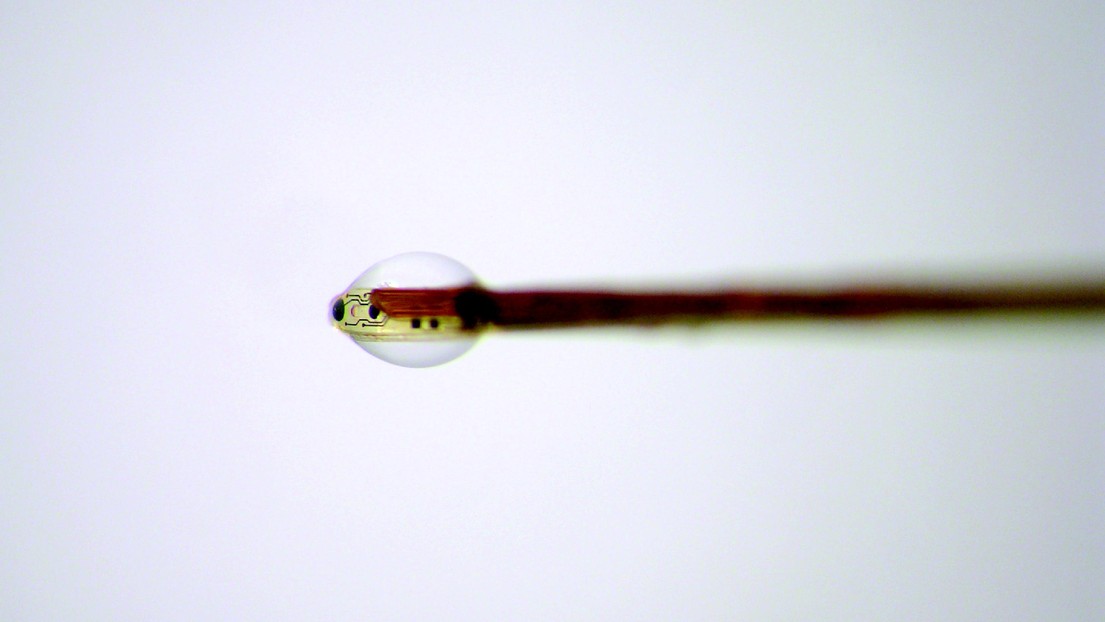 © Guillaume Petit-Pierre - Perfusion microdroplet allowing the extraction of interstitial liquid using the system developed by EPFL researchers.