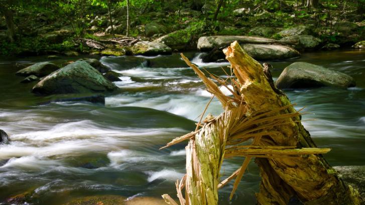 Are our rivers polluted by the urban environment?