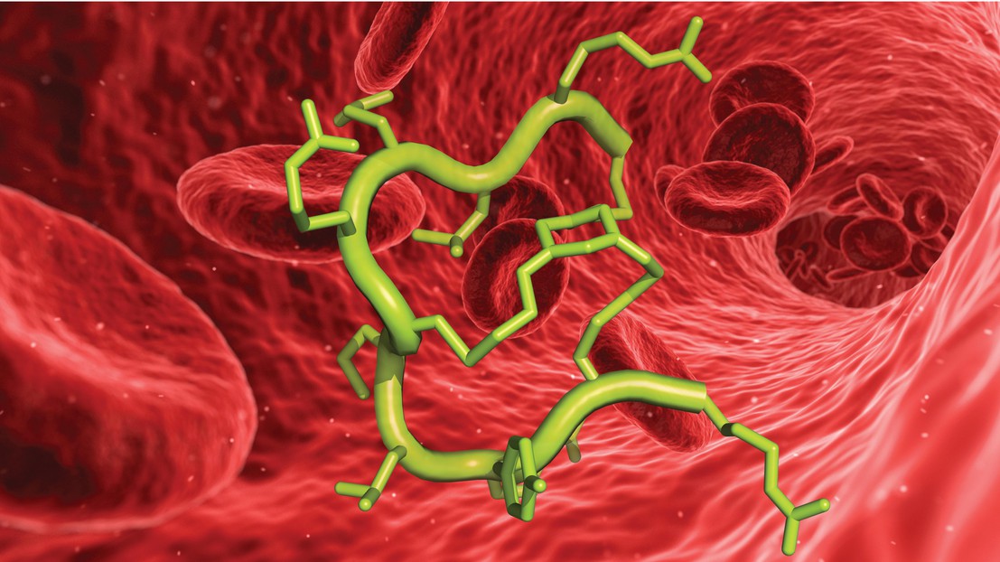 A FXII inhibitor cyclic peptide blood-thinner. ©iStock (context)/C. Heinis (3D structure)