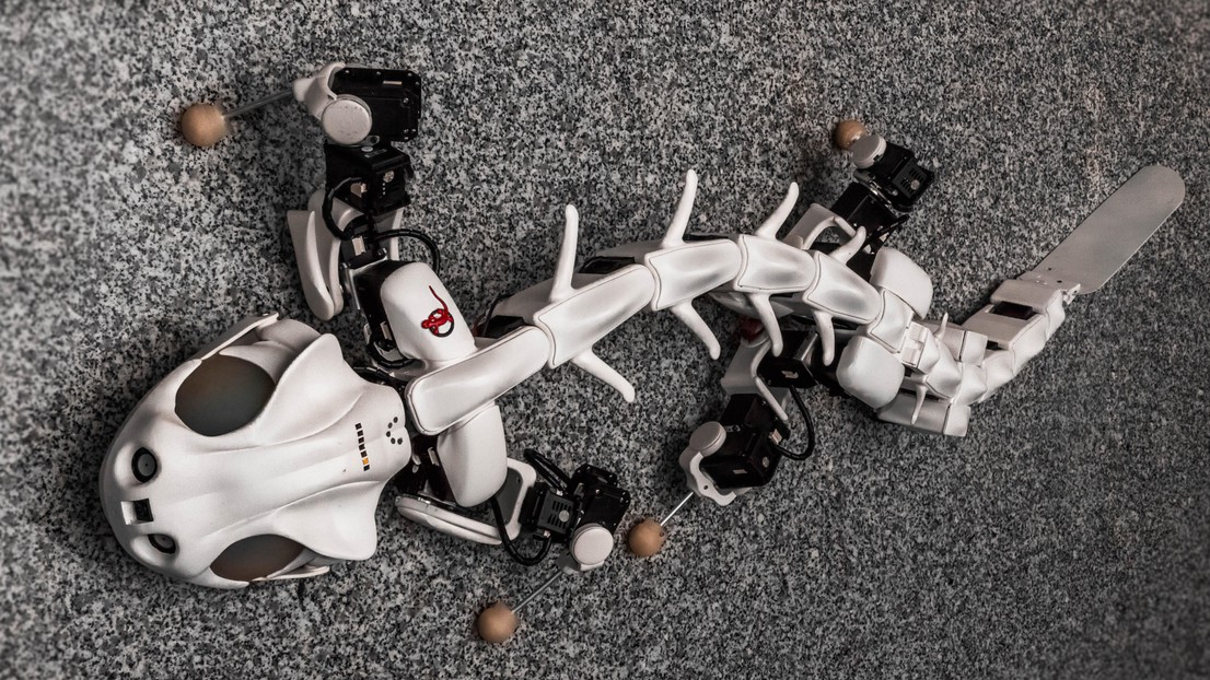 The Pleurobot robot salamander developed by EPFL’s Biorobotics Laboratory will be improved in the framework of this project © Konstantinos Karakasiliotis & Robin Thandiackal, BioRob/EPFL