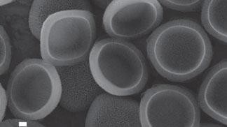 Nanoconstructs